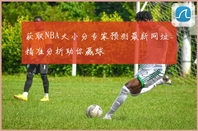获取NBA大小分专家预测最新网址_精准分析助你赢球