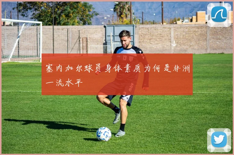 塞内加尔球员身体素质为何是非洲一流水平